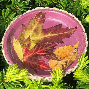 Jewelry Trinket Dish with Real Autumn Leaves - Handmade